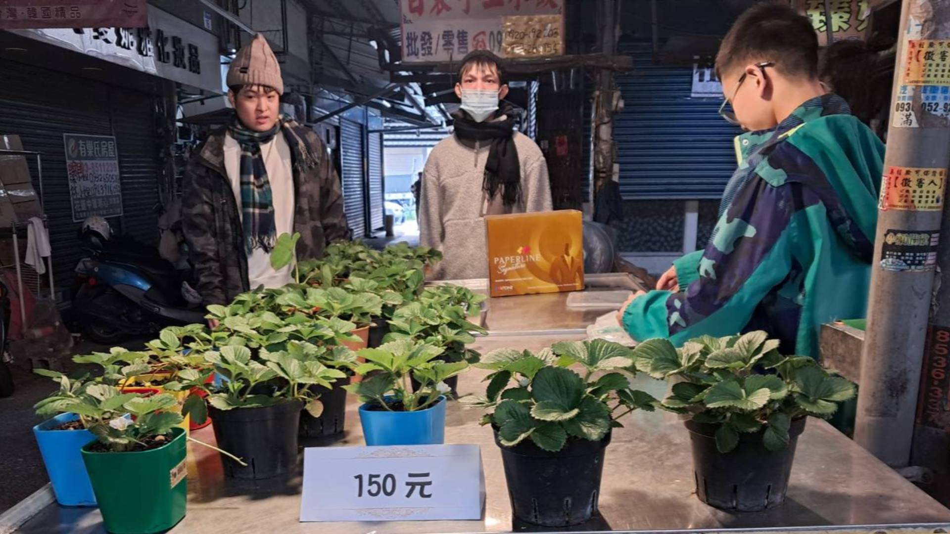 美崙市場義賣草莓苗活動